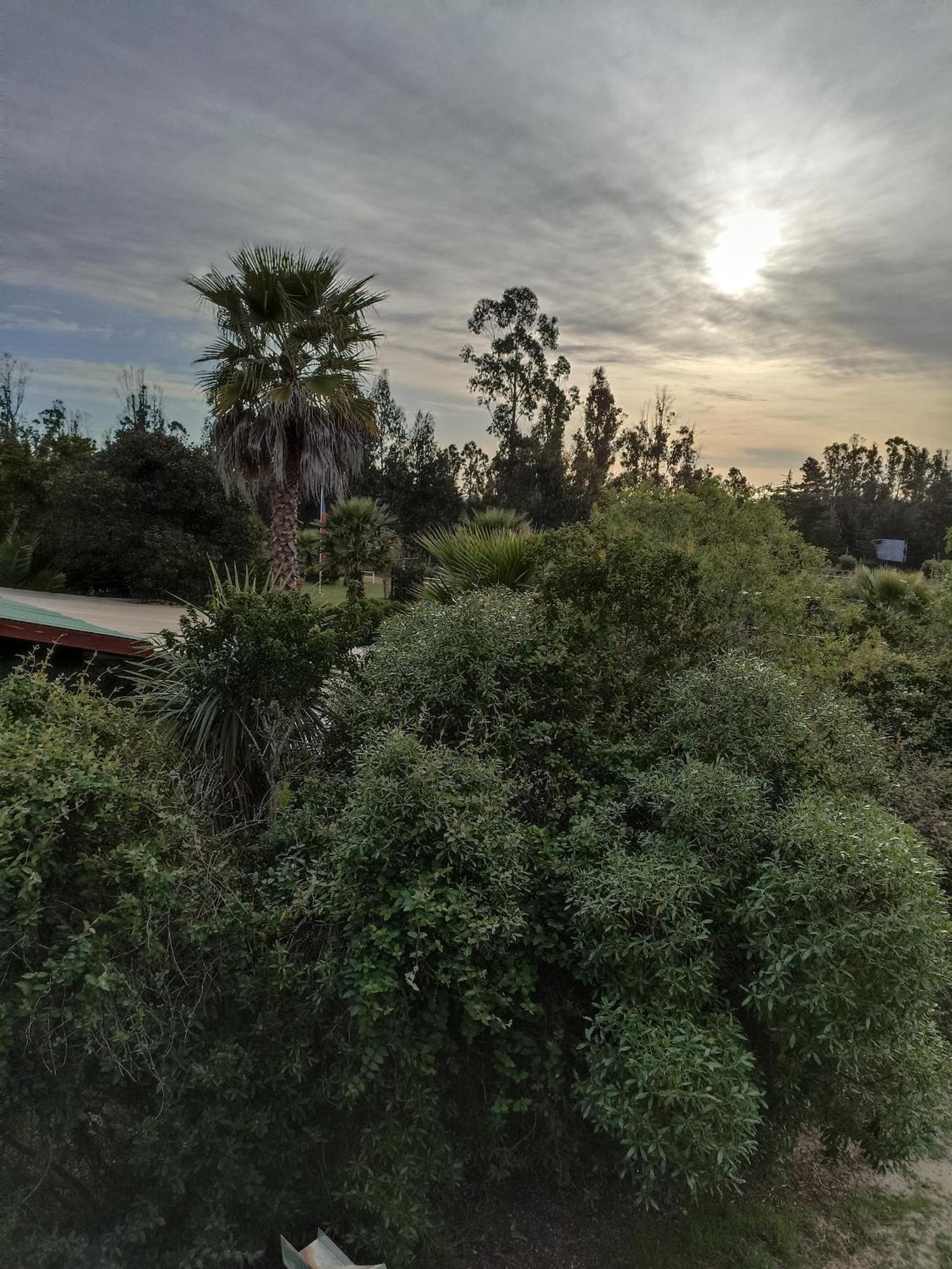 El Algarrobo Exteriér fotografie