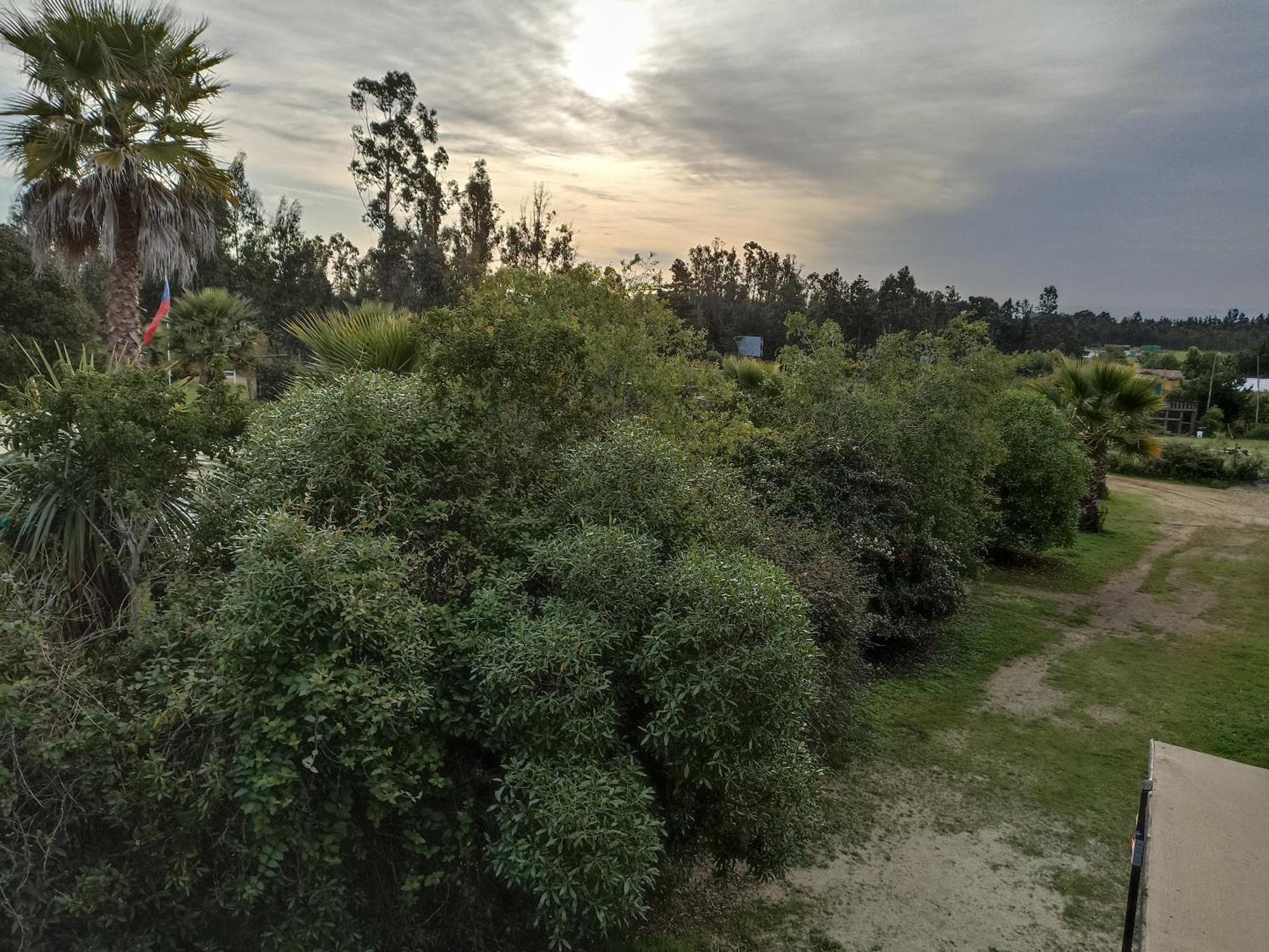 El Algarrobo Exteriér fotografie