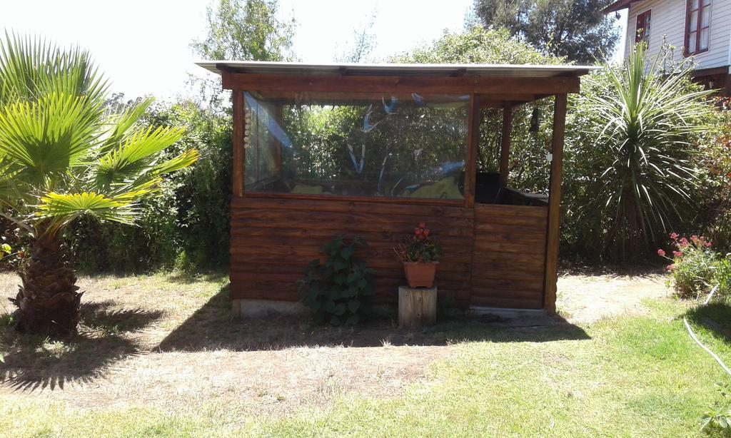 El Algarrobo Exteriér fotografie